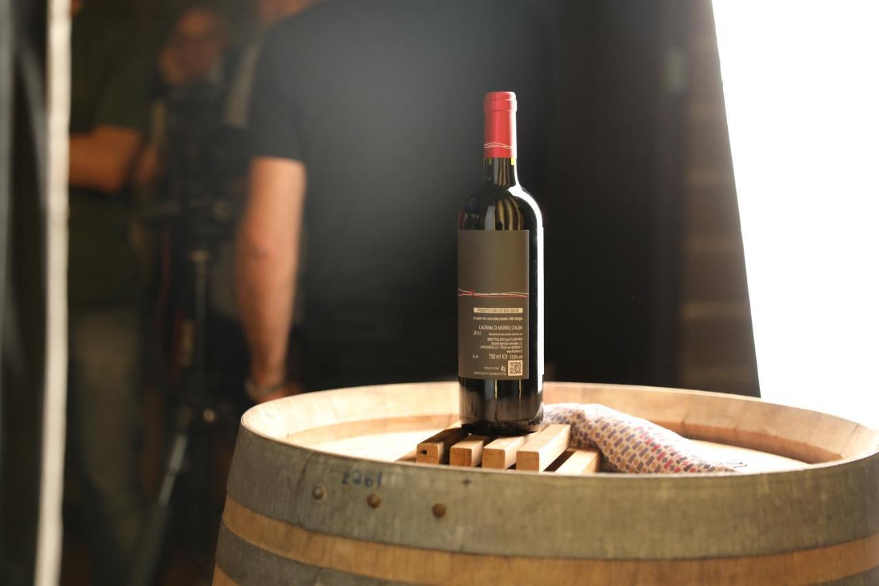 Filodivino Wine Resort & Spa San Marcello  Екстер'єр фото