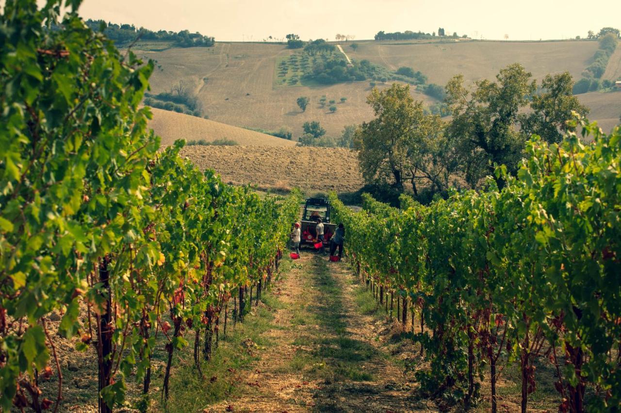 Filodivino Wine Resort & Spa San Marcello  Екстер'єр фото
